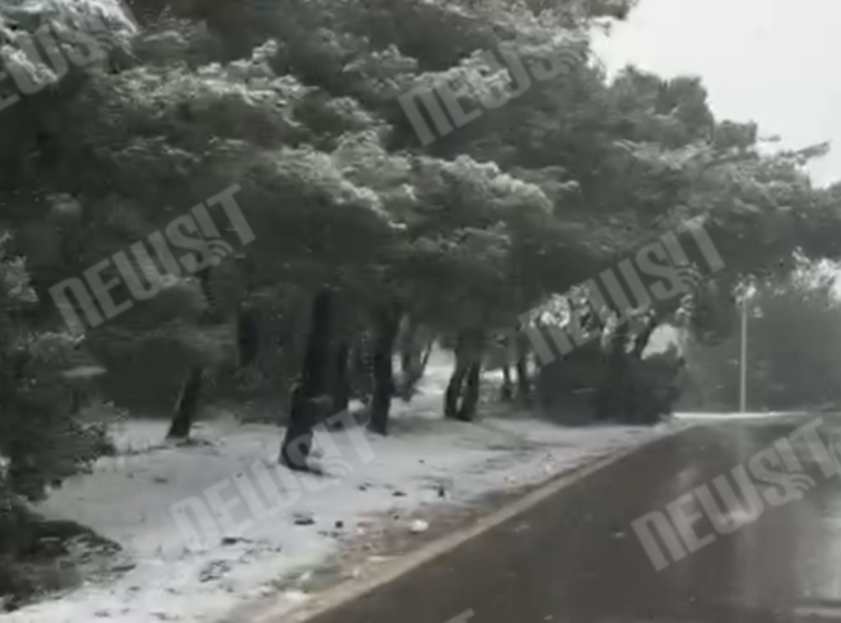 Πυκνό χιόνι στην Πάρνηθα