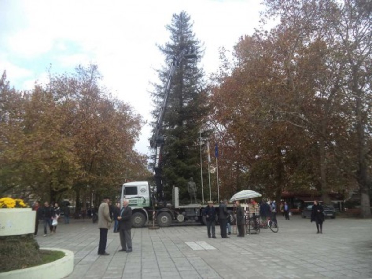 Το ψηλότερο Χριστουγεννιάτικο δέντρο
