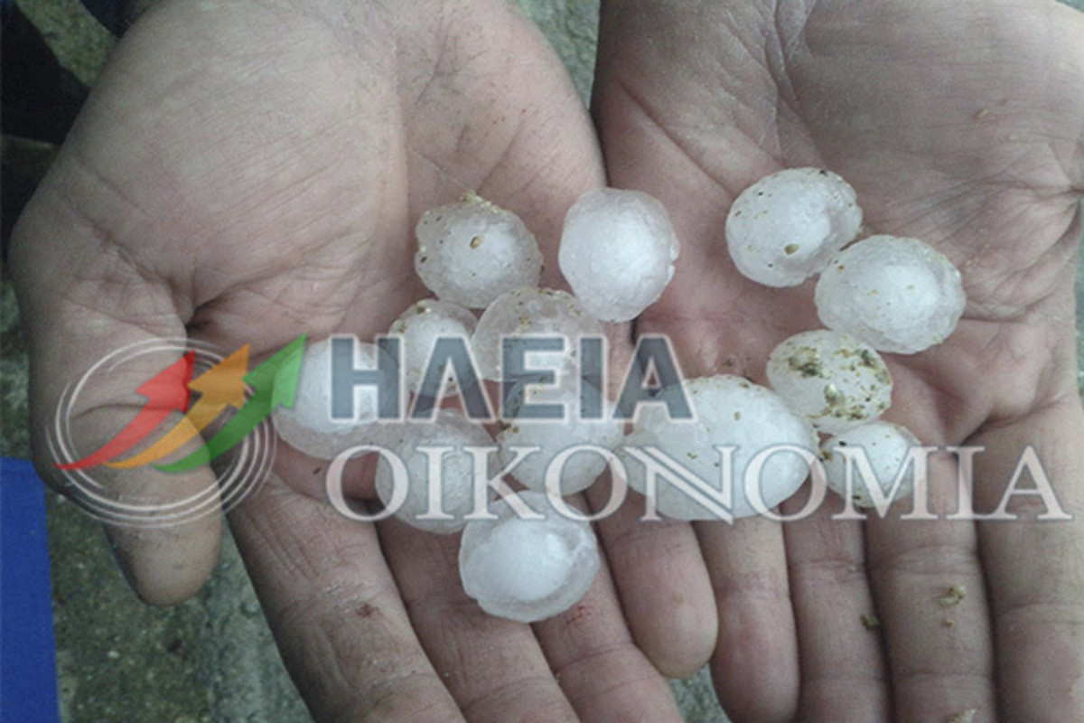 ΦΩΤΟ από iliaoikonomia.gr