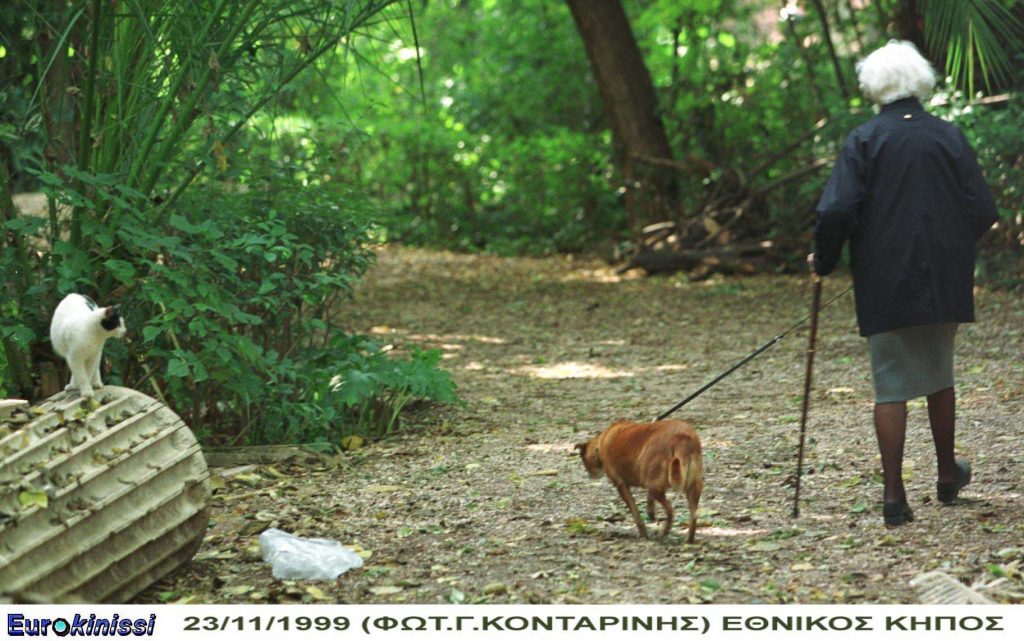 Διακοφτό: Βρέθηκε νεκρή μέσα σε θάμνους