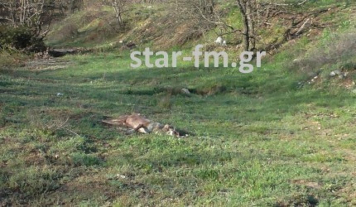 ΦΩΤΟ από star-fm.gr