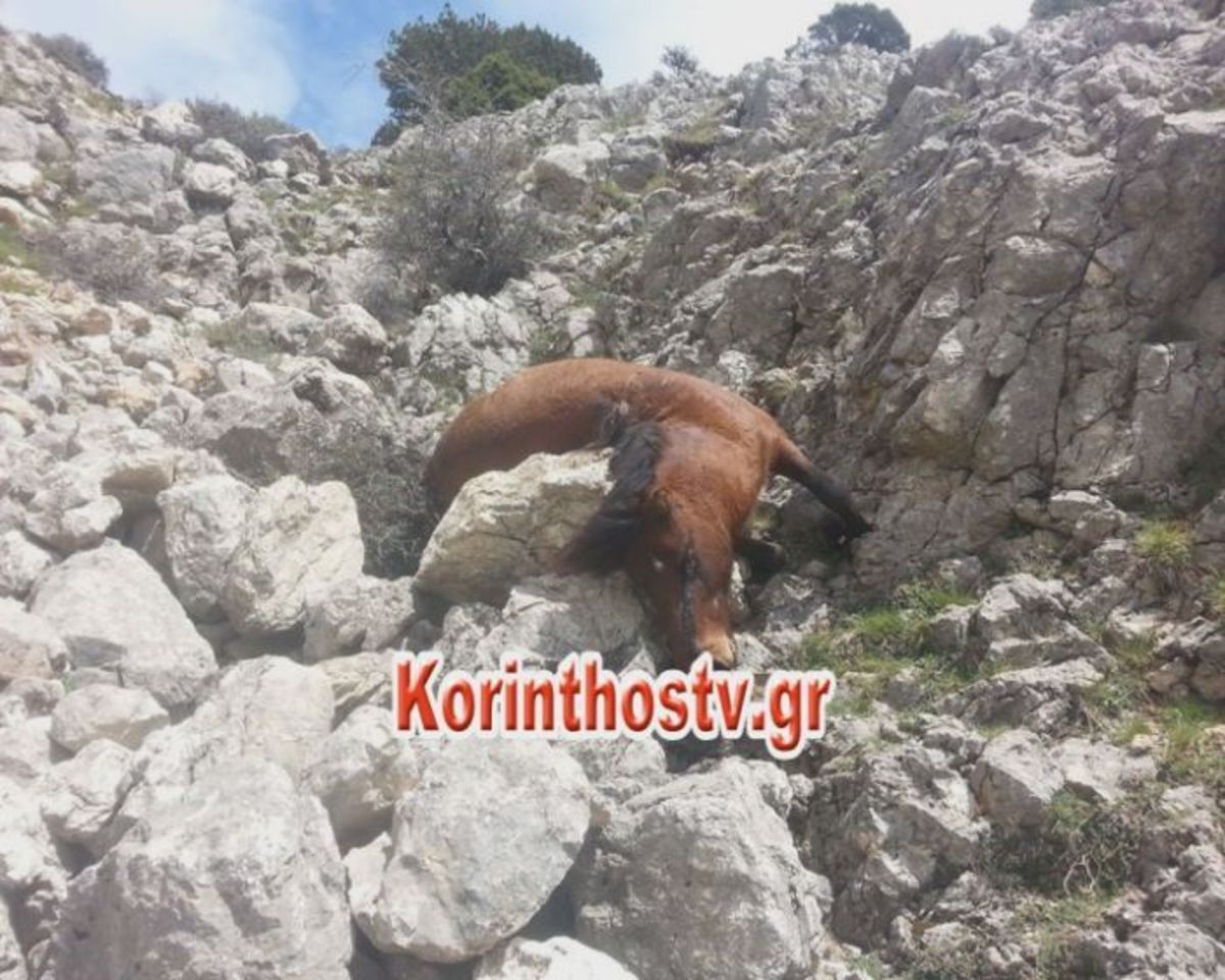 ΦΩΤΟ από korinthostv