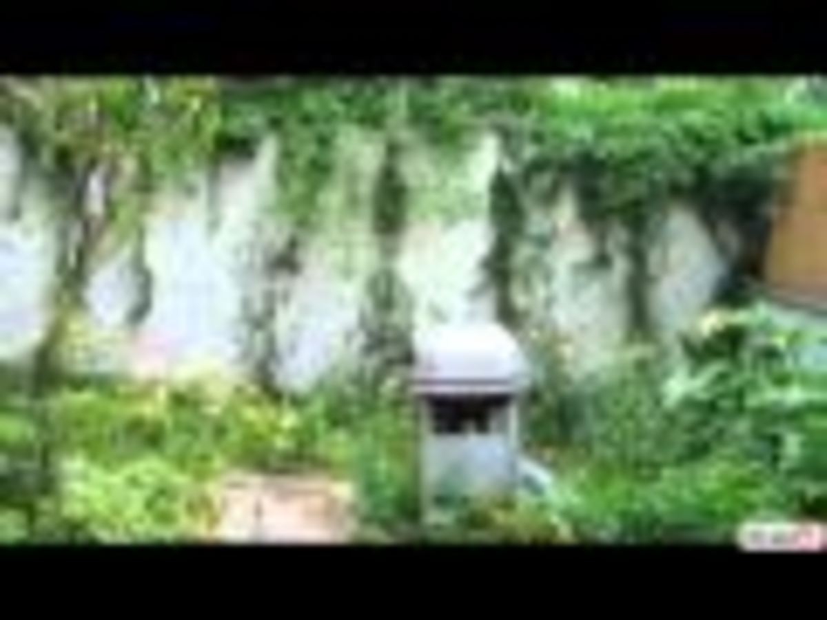 Το NewsIt.gr κάνει αυτοψία στο σπίτι της Ν.Ιωνίας