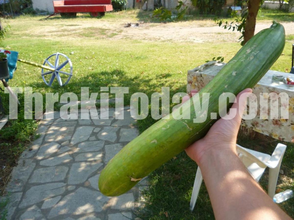ΦΩΤΟ από το ThrakiToday