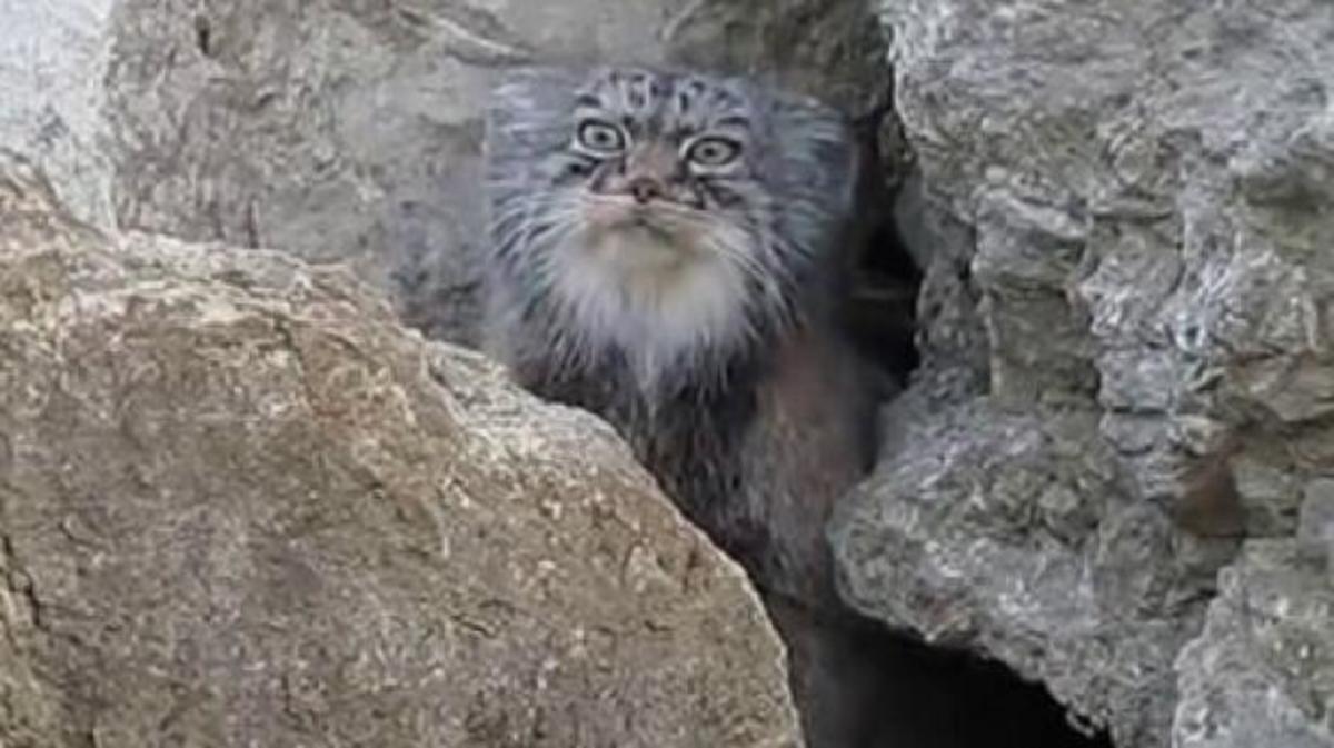 ΦΩΤΟ ΑΡΧΕΙΟΥ