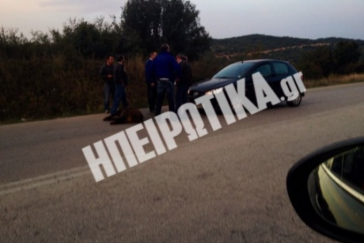 ΦΩΤΟ από το ipeirotika