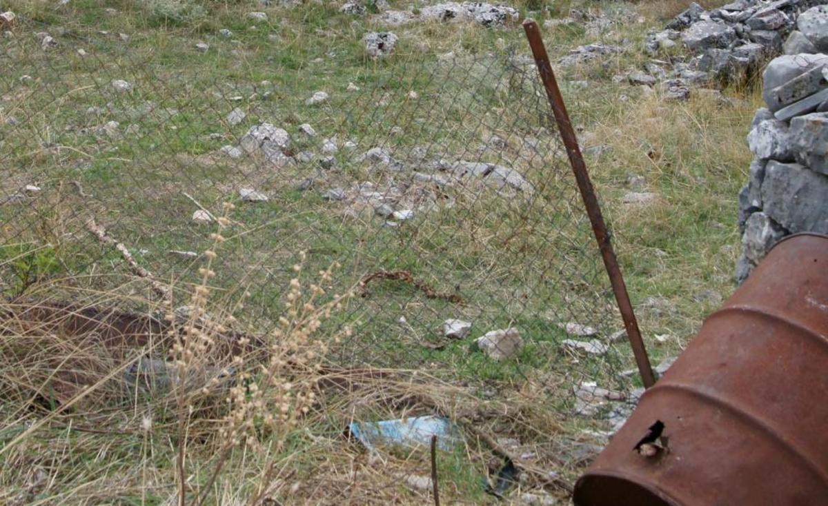 ΦΩΤΟ ΑΡΧΕΙΟΥ EUROKINISSI