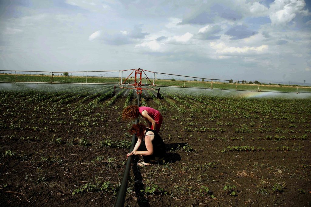 300.000 φεύγουν μετανάστες στο… χωριό – Αγρότες με καλλιέργειες που… τα σπάνε