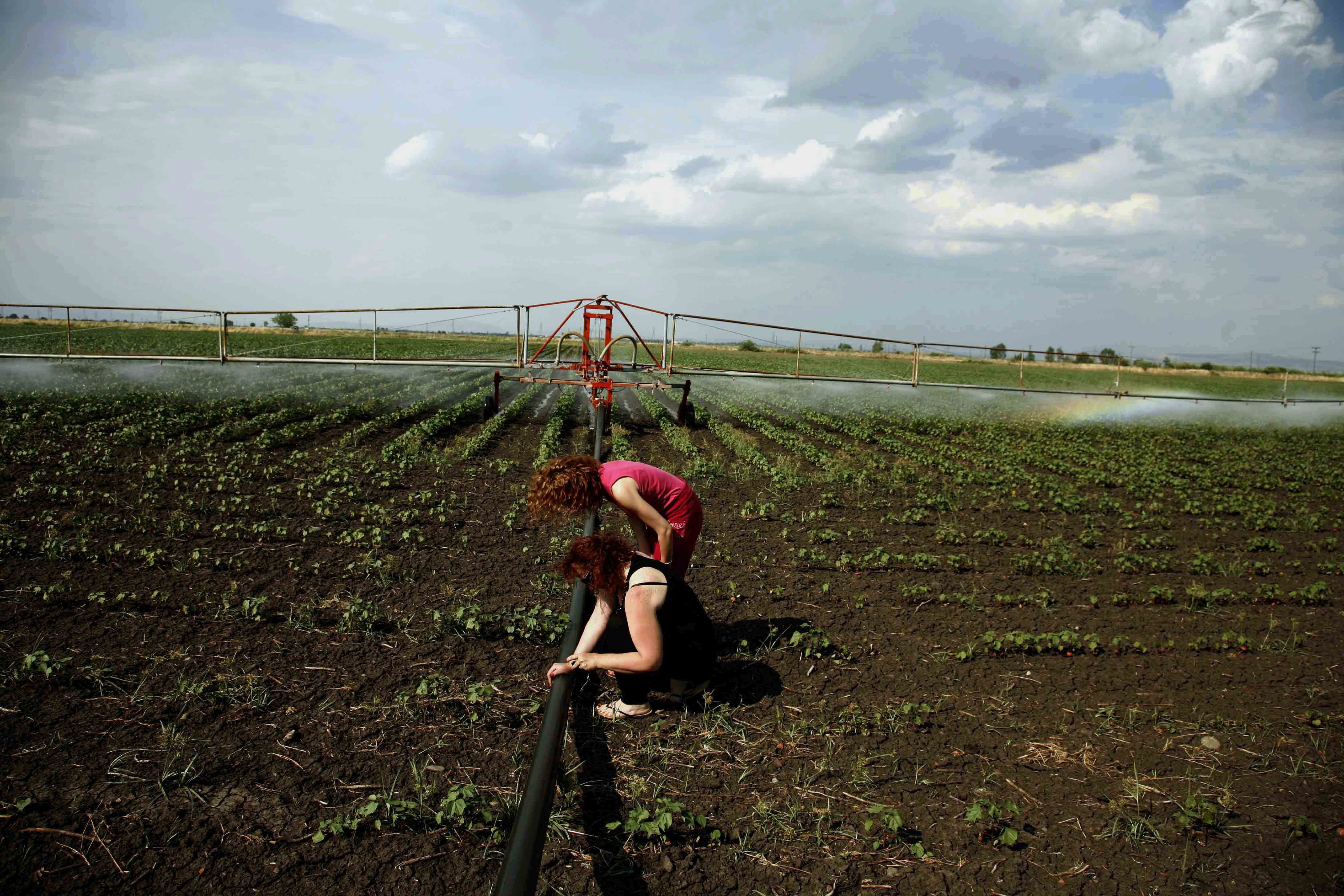 300.000 φεύγουν μετανάστες στο… χωριό – Αγρότες με καλλιέργειες που… τα σπάνε
