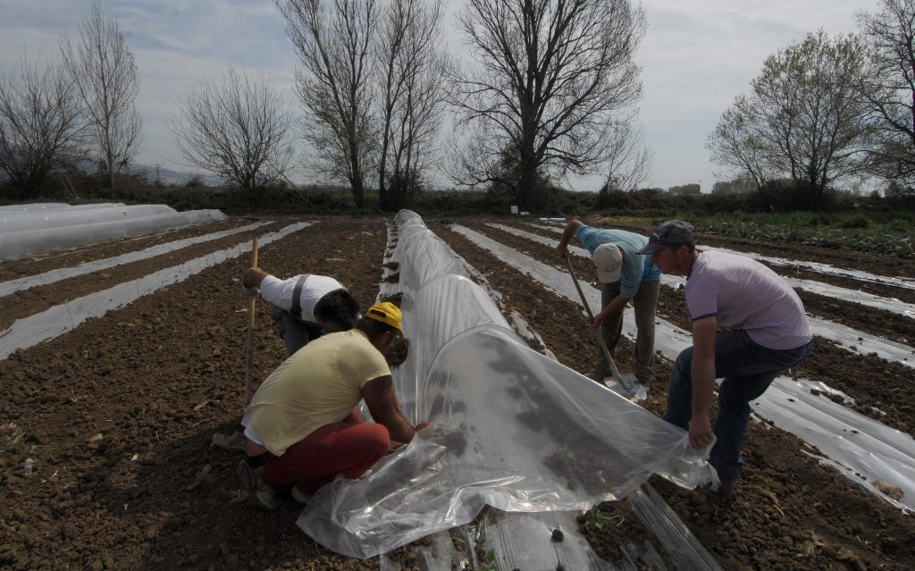 Τη Δευτέρα οι αγρότες παίρνουν την αποζημίωση