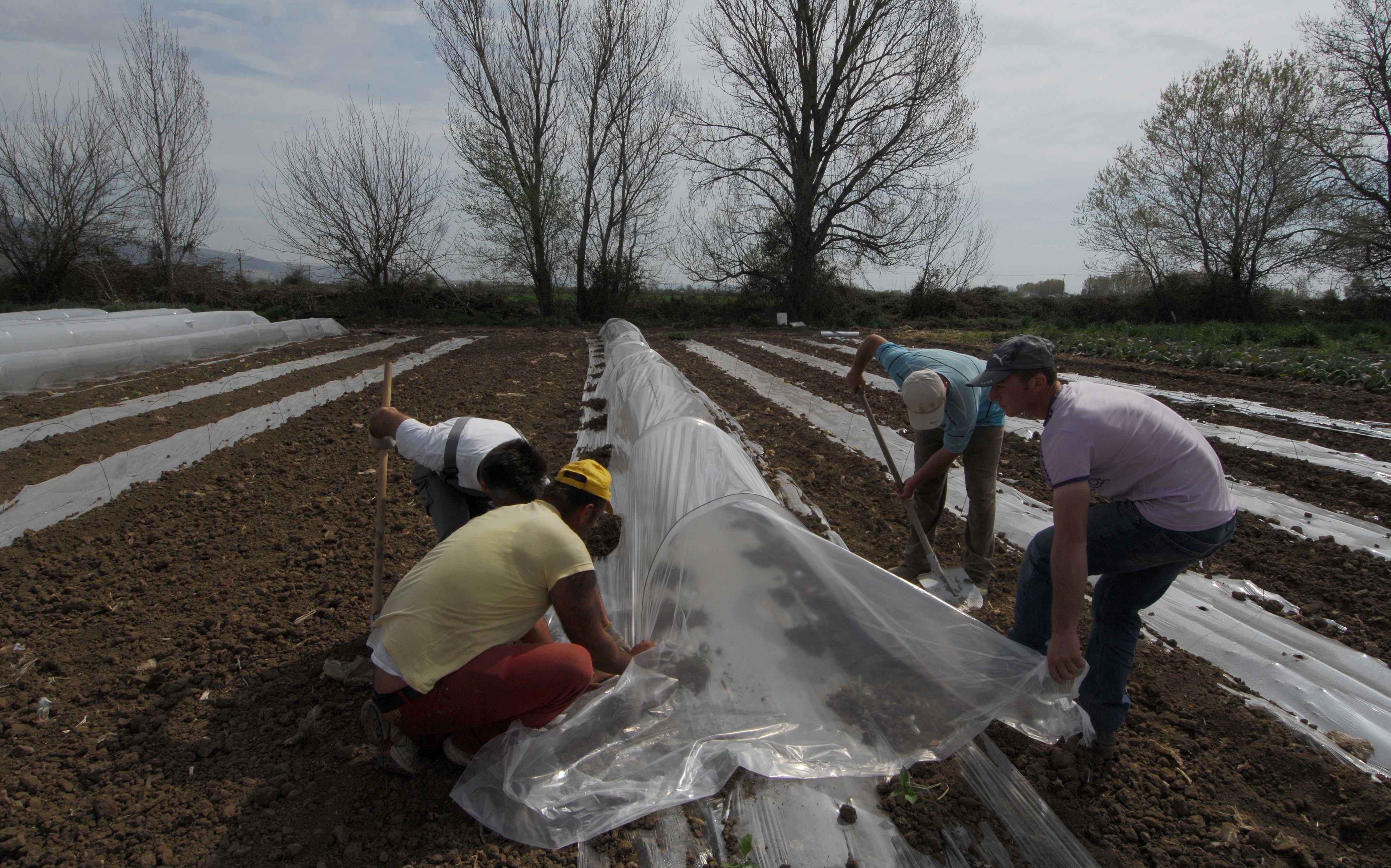 Τη Δευτέρα οι αγρότες παίρνουν την αποζημίωση