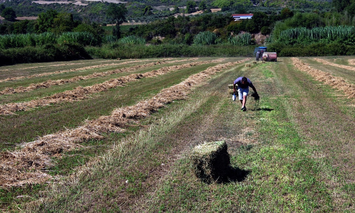 Ιεράπετρα: Τον βρήκαν νεκρό στο σπίτι του – “Έφυγε” ένας καινοτόμος αγρότης