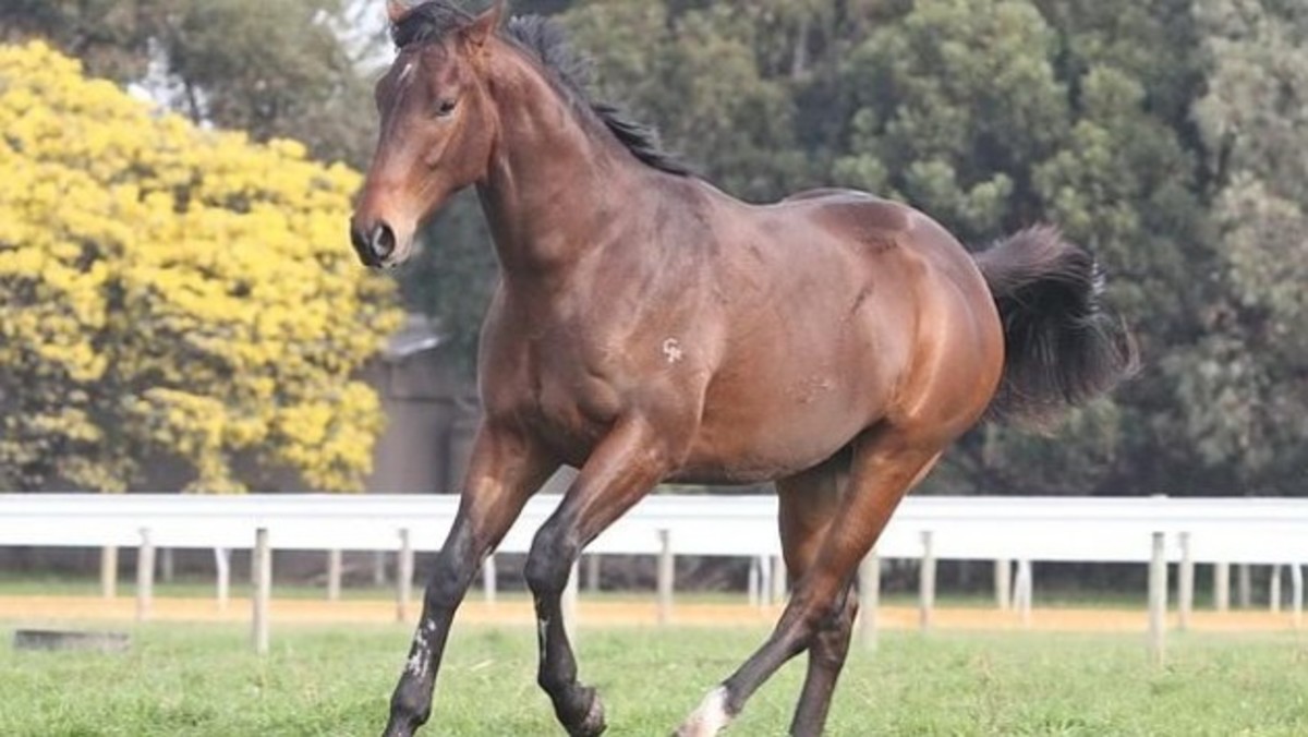 ΦΩΤΟ ΑΡΧΕΙΟΥ