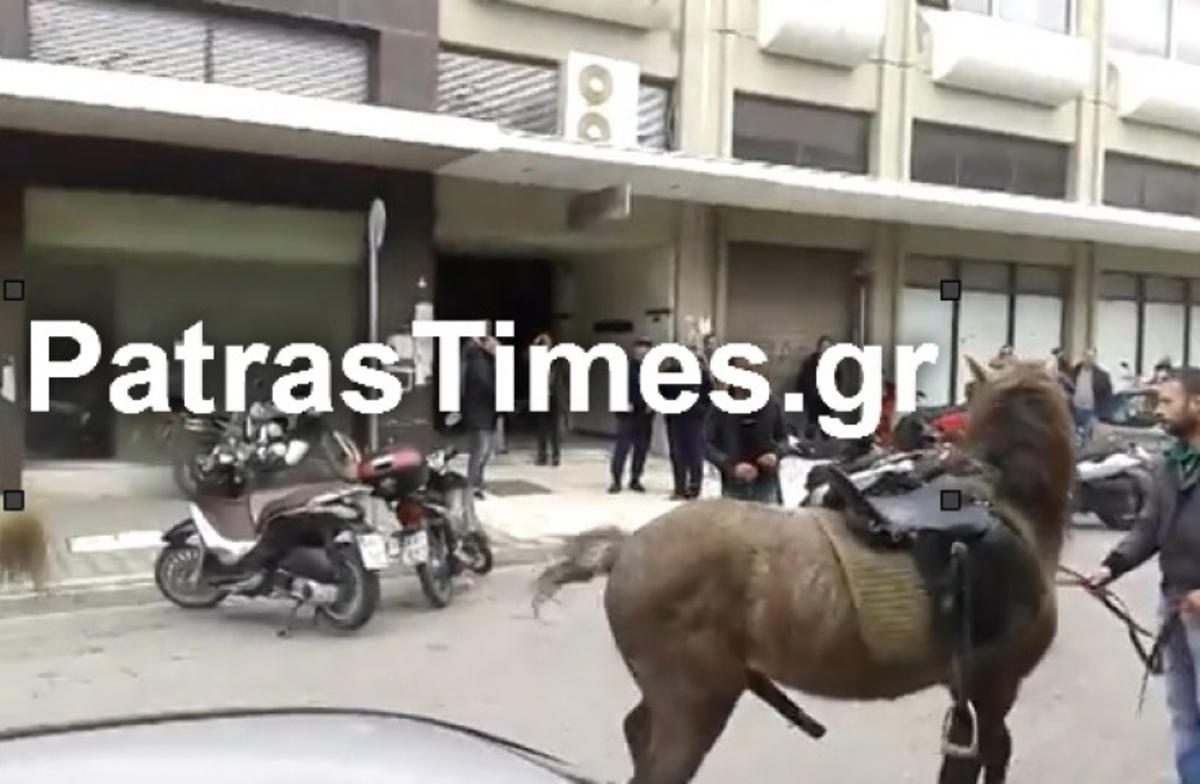 Οι πονηρές ορέξεις του αλόγου στο μπλόκο των αγροτών (VIDEO)
