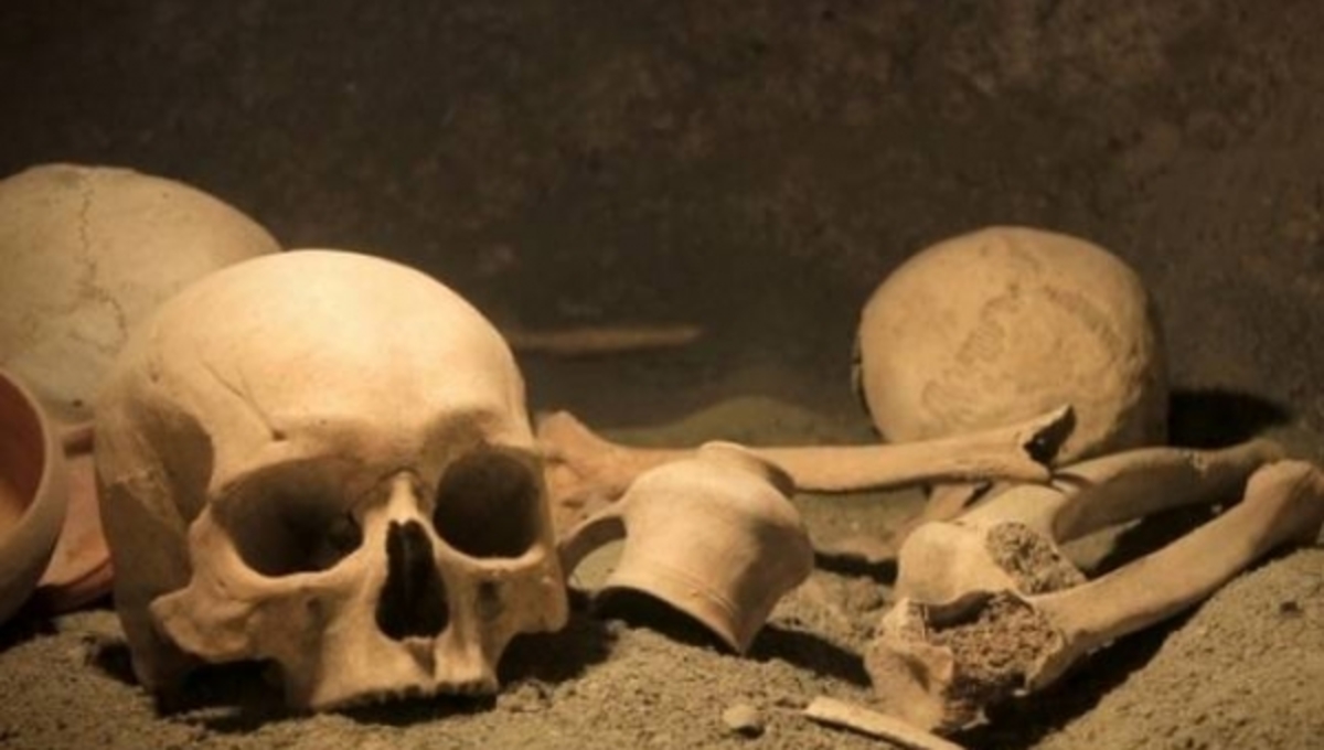 Αμφίπολη: Η διαδικασία DNA στον σκελετό – Πώς θα γίνει η εξέταση