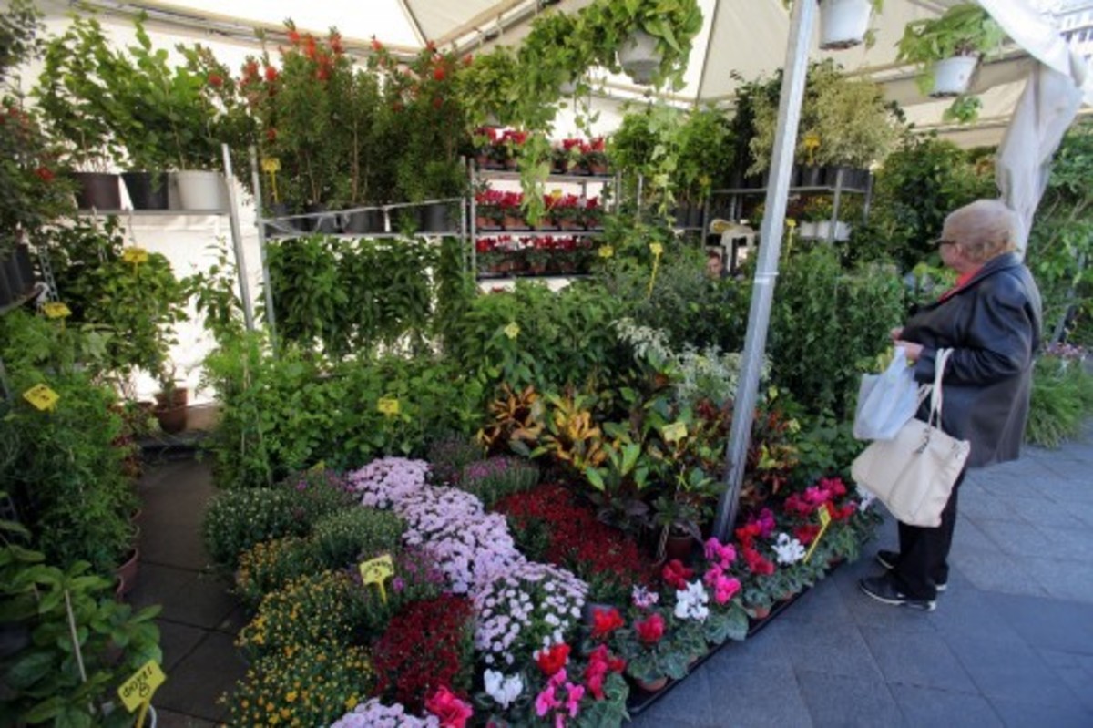 Ξεκινάει η ανθοκομική έκθεση στην Καλαμάτα