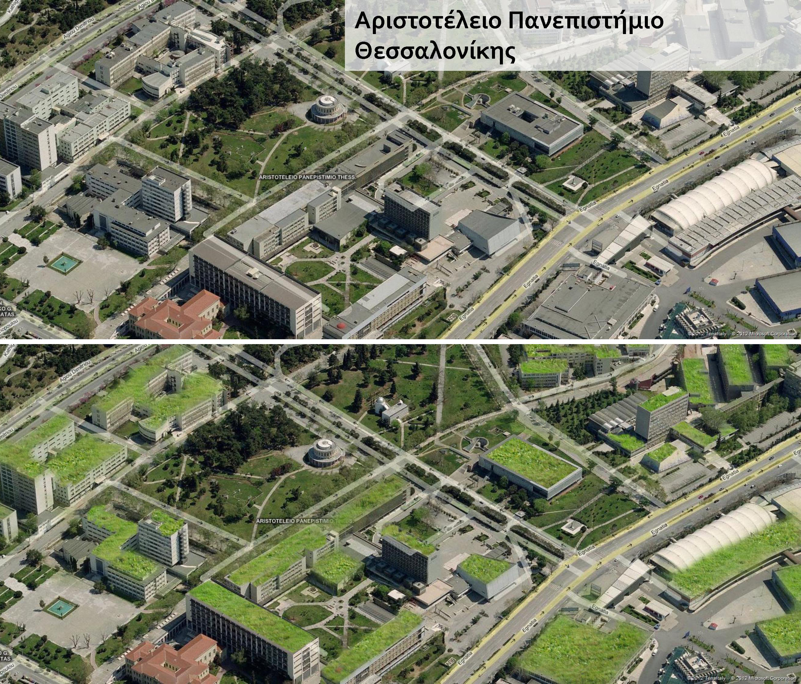 “Ανάσα” για τους Θεσσαλονικείς οι πράσινες ταράτσες (φωτό)