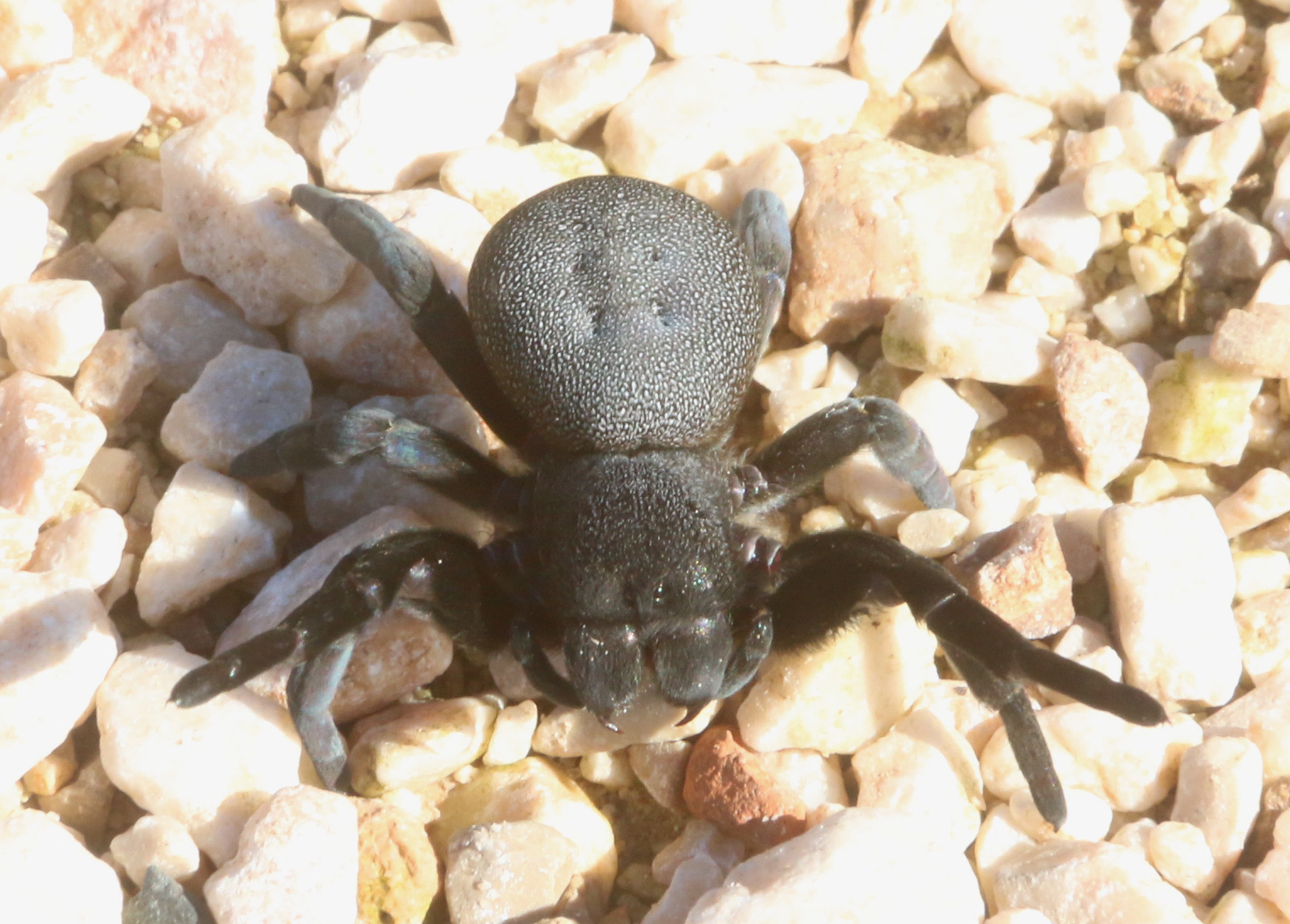 ΦΩΤΟ EUROKINISSI