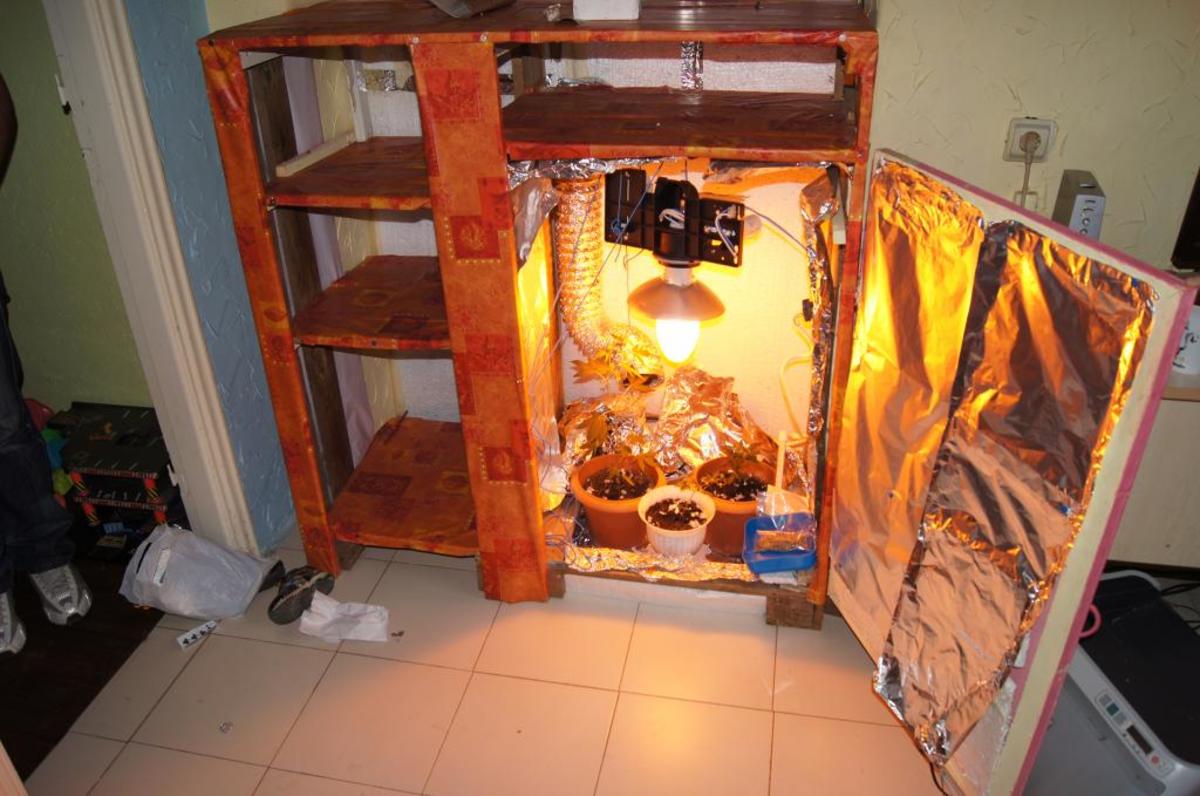 Άρτα: Καλλιεργούσε ναρκωτικά στην… ντουλάπα του!