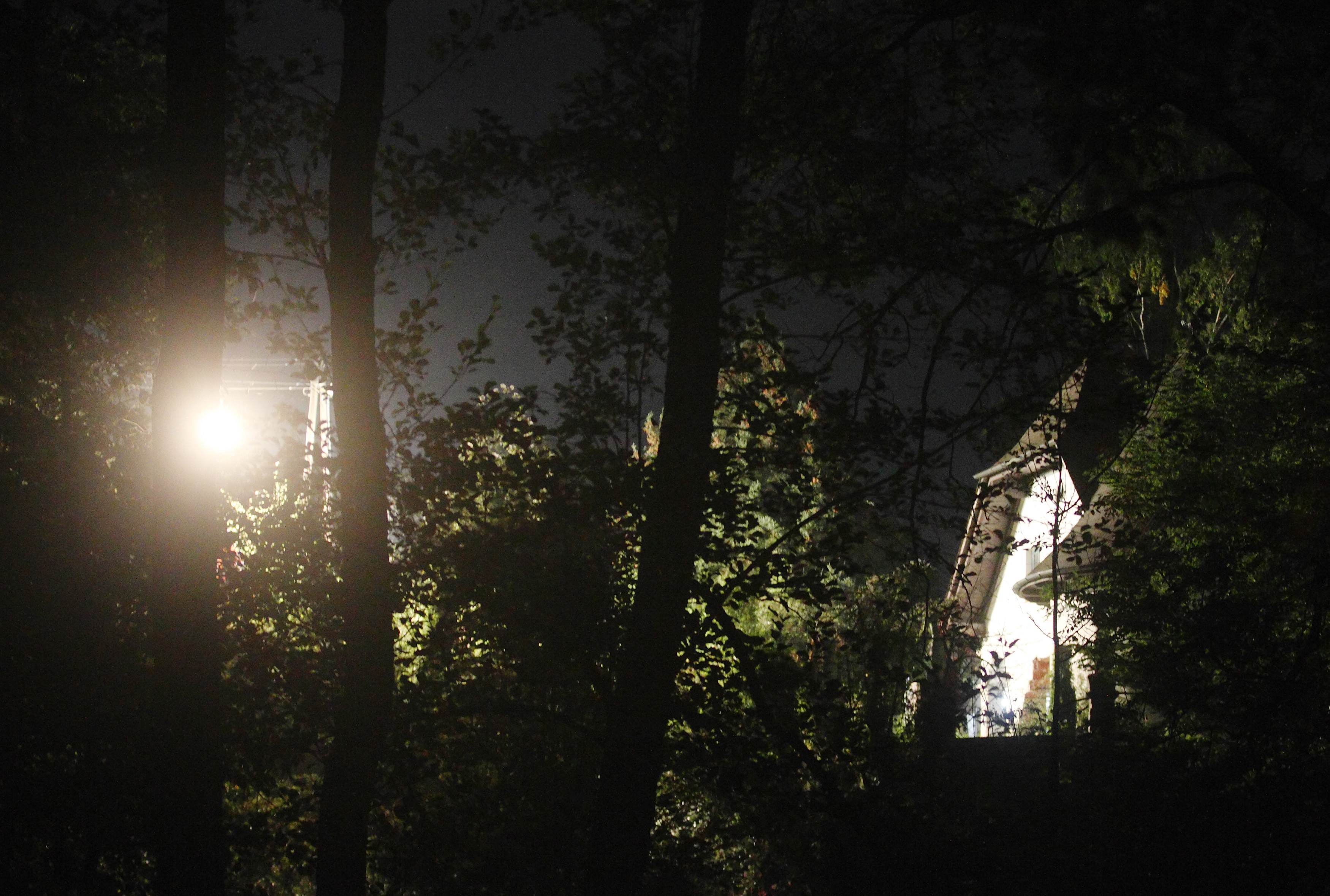 Απανθρακωμένο βρέθηκε το πτώμα του Αυστριακού δράστη