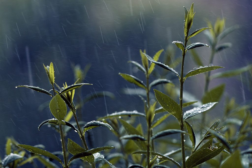 Τι καιρό θα κάνει το σαββατοκύριακο