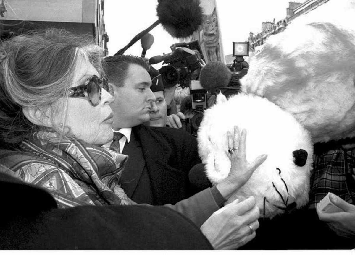 Η Μπριζίτ Μπαρντό υπερασπίζεται 2 εκατ. αγριόγατες – “Η γενοκτονία ζώων είναι απάνθρωπη και γελοία”