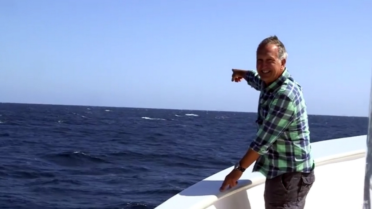 Το απόλυτο timing! Γαλάζια φάλαινα έκοψε την γκρίνια παρουσιαστή του BBC (ΒΙΝΤΕΟ)