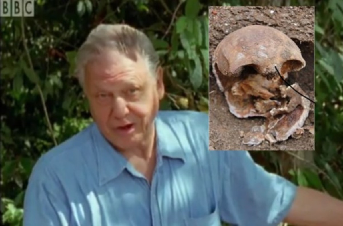 Κρανίο βρέθηκε σε κήπο παρουσιαστή!