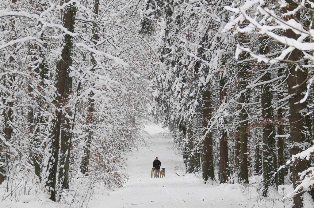 ΩΡΑ 14.00 ΒΟΝΝΗ