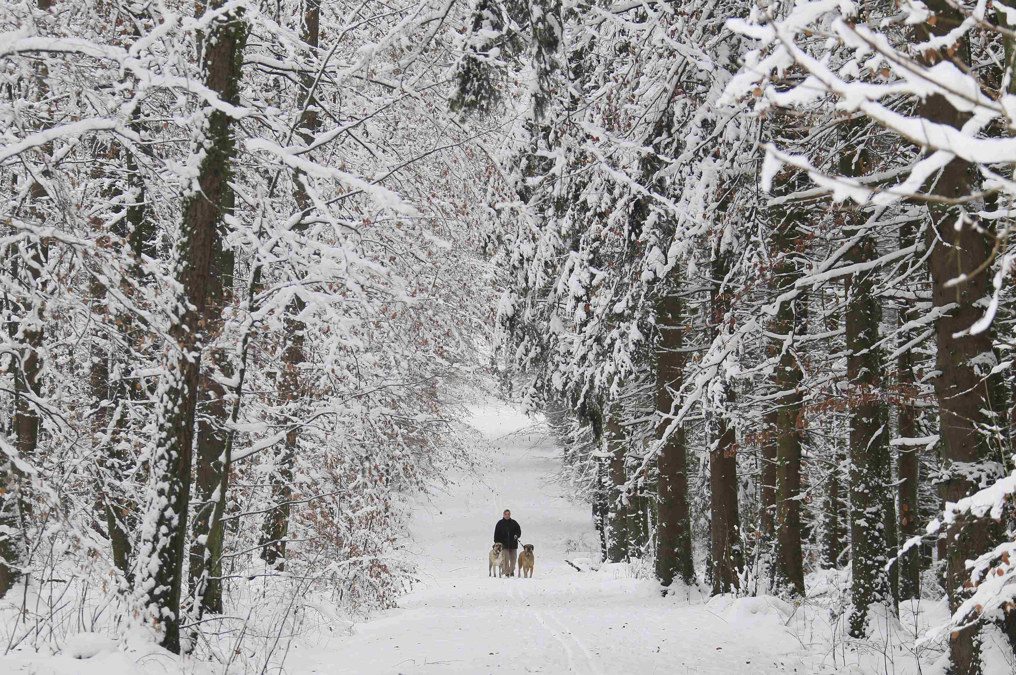 ΩΡΑ 14.00 ΒΟΝΝΗ