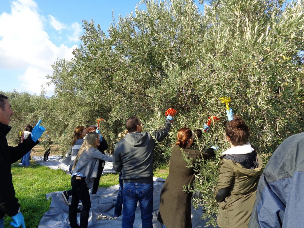 Οι εργαζόμενοι της Bosch “Συλλέγουν & Προσφέρουν” για 210 οικογένειες που έχουν ανάγκη