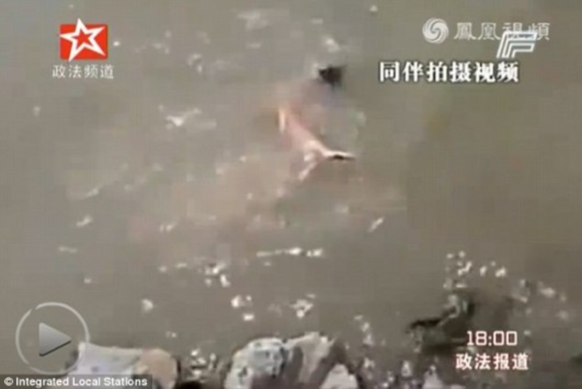 Τον άφησαν να πνιγεί