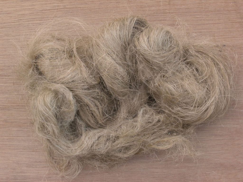 Νόμιμη η κλωστική κάνναβη