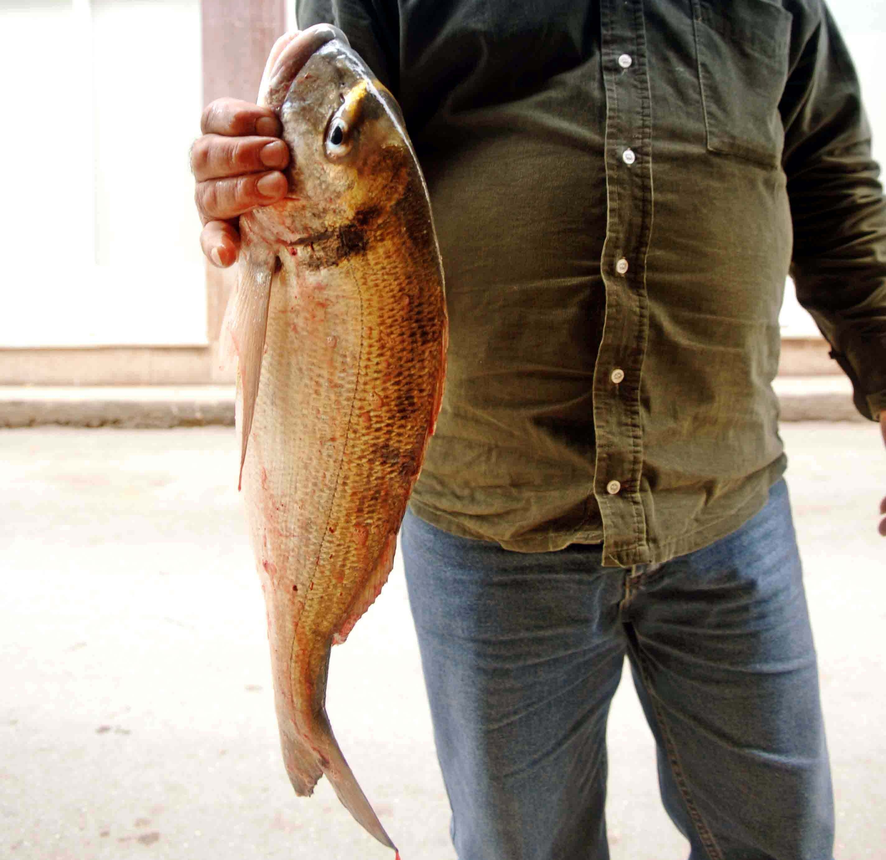 ΦΩΤΟ ΑΡΧΕΙΟΥ EUROKINISSI