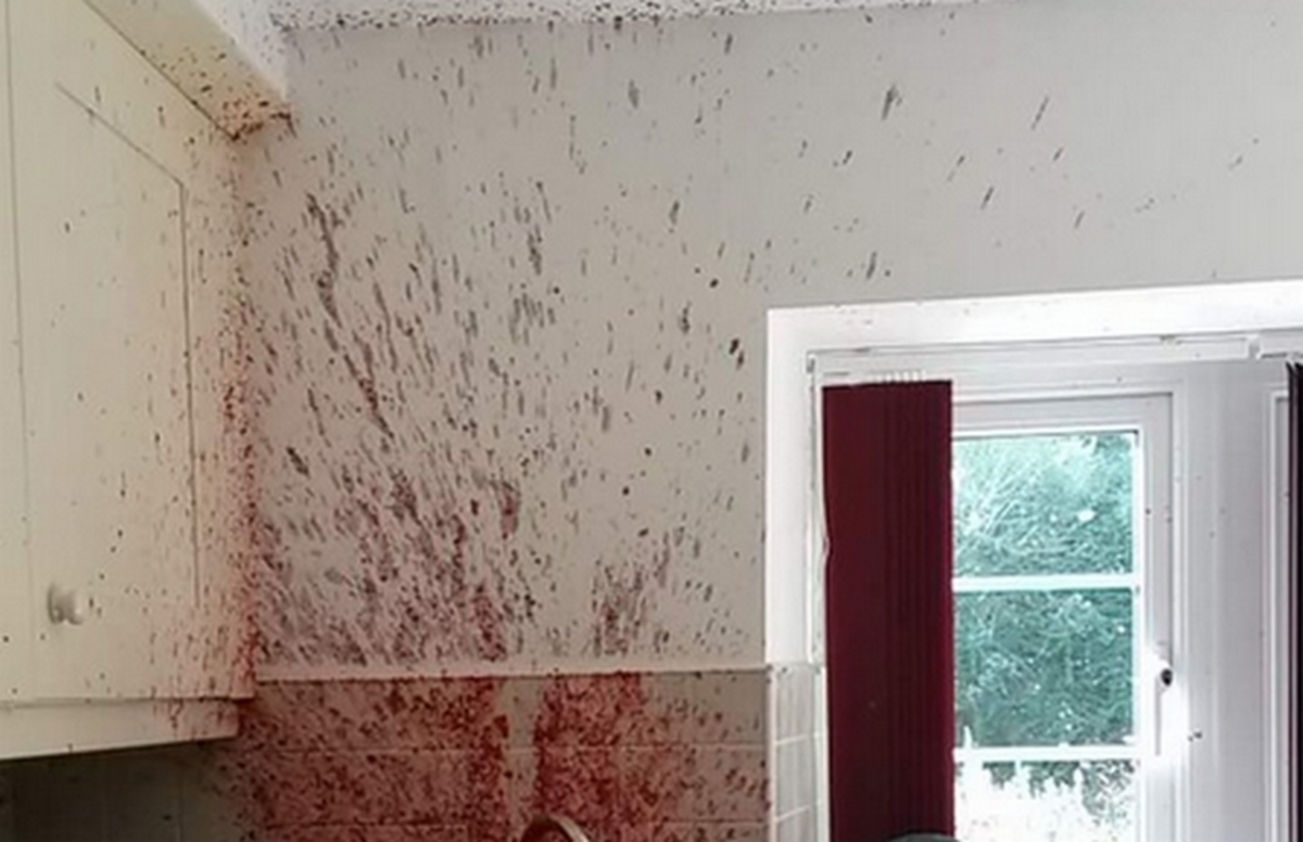 Η viral φωτογραφία “φόνου” που κάνει χαμό στο ίντερνετ