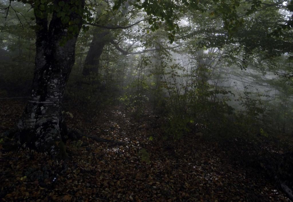 ΦΩΤΟ ΑΡΧΕΙΟΥ EUROKINISSI