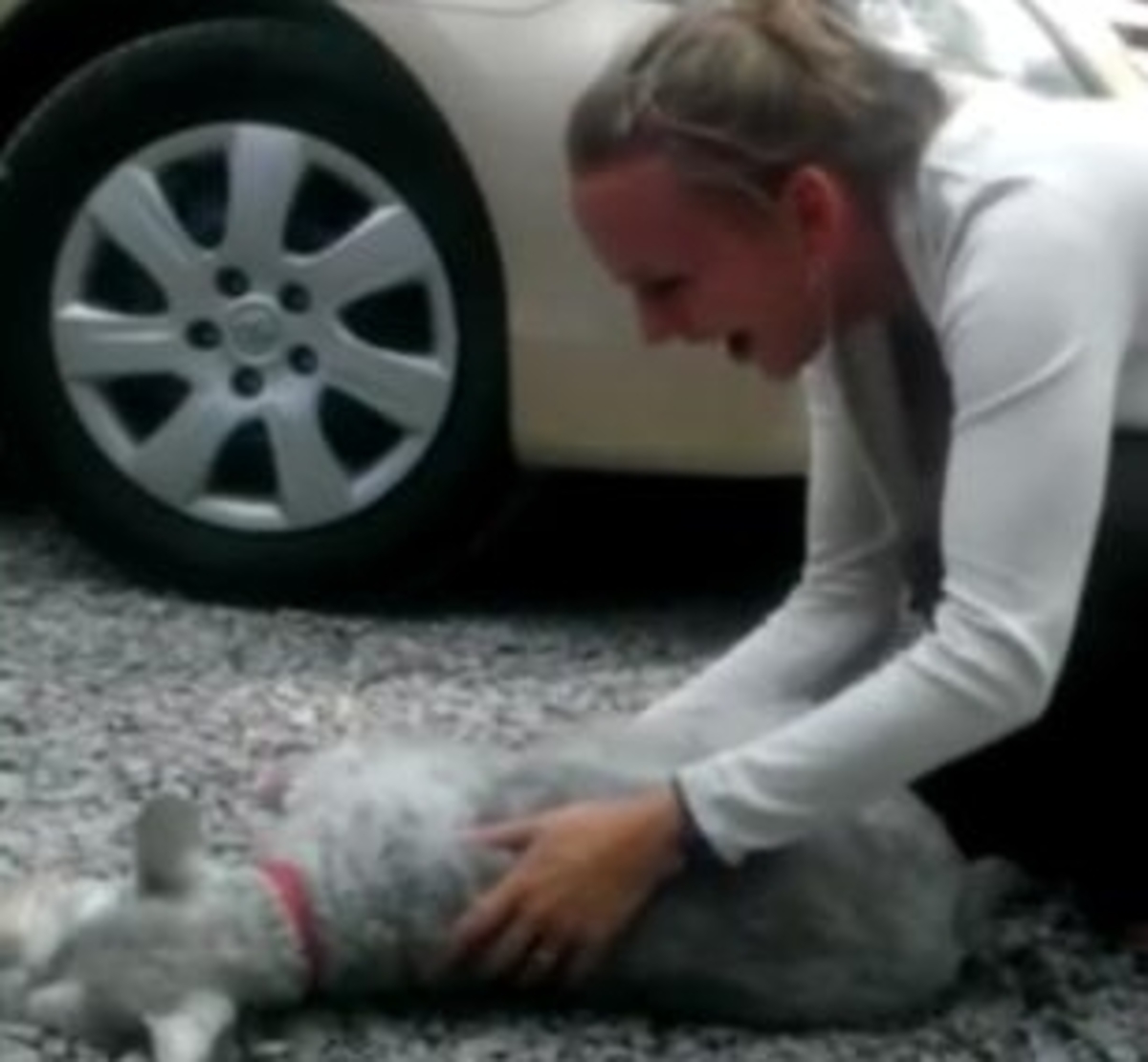 Λιποθύμησε σκύλος από χαρά