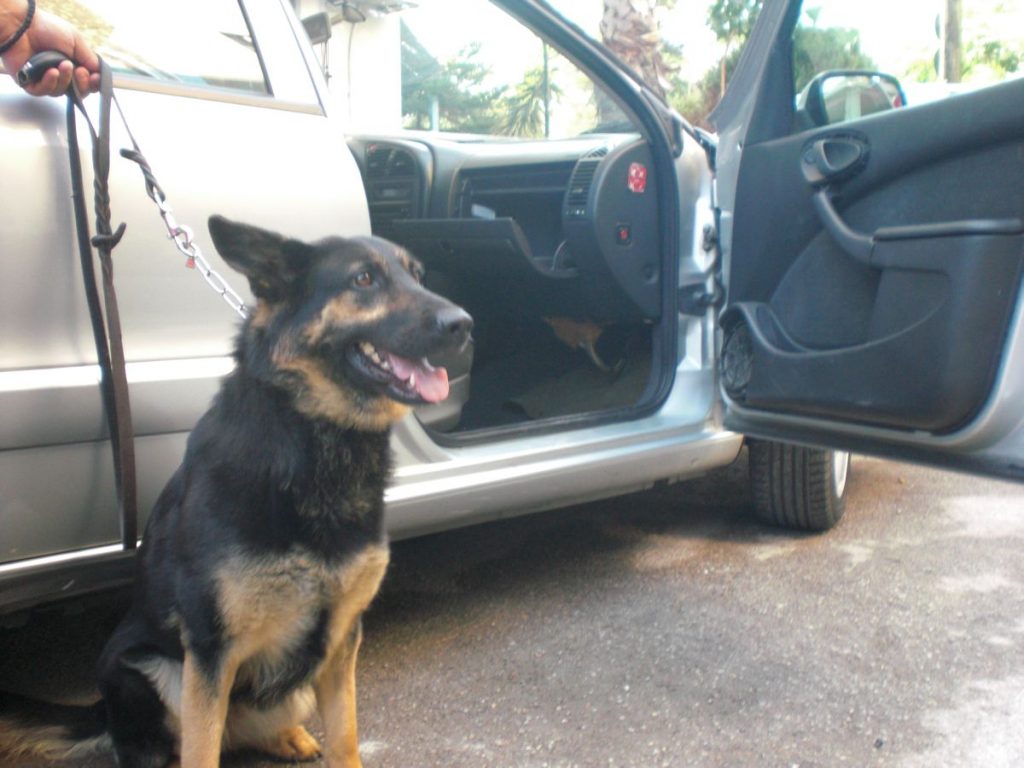 ΦΩΤΟ από astynomia.gr