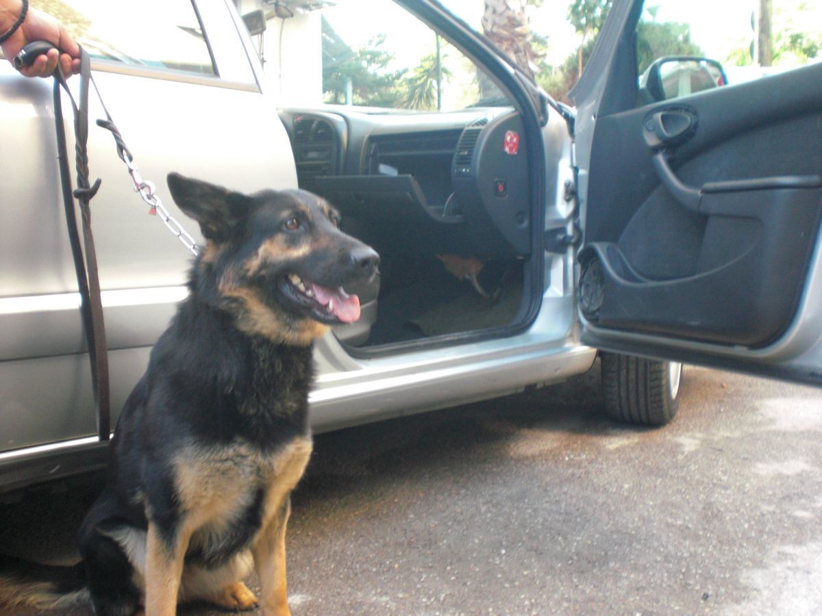 ΦΩΤΟ από astynomia.gr