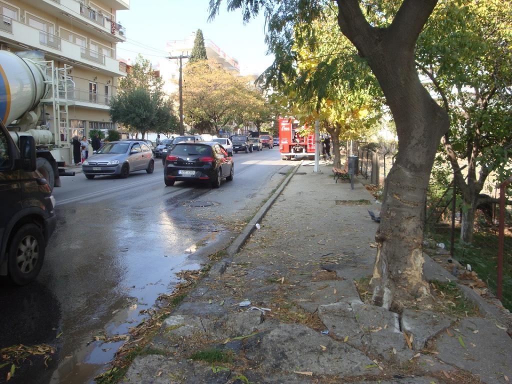 ΦΩΤΟ από το ThrakiToday