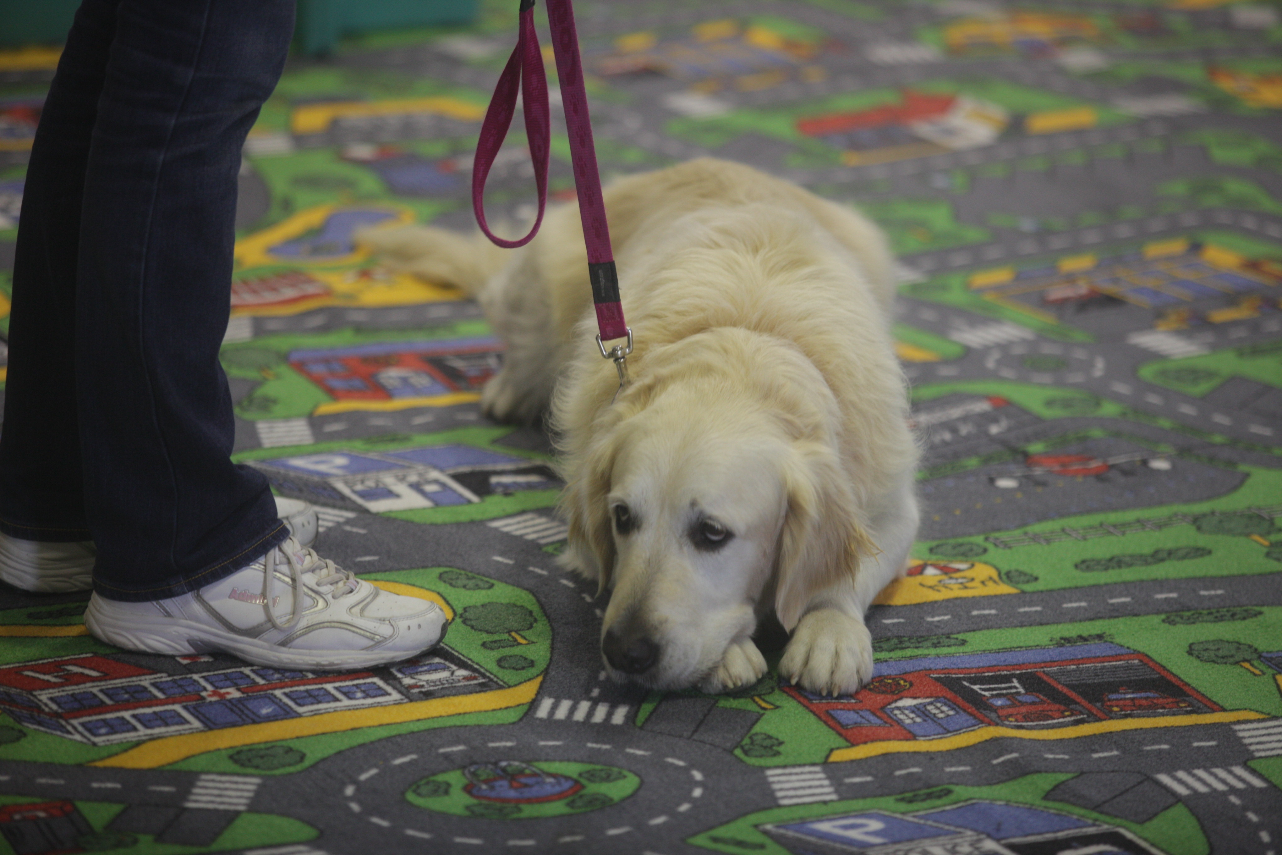 ΦΩΤΟ ΑΡΧΕΙΟΥ EUROKINISSI