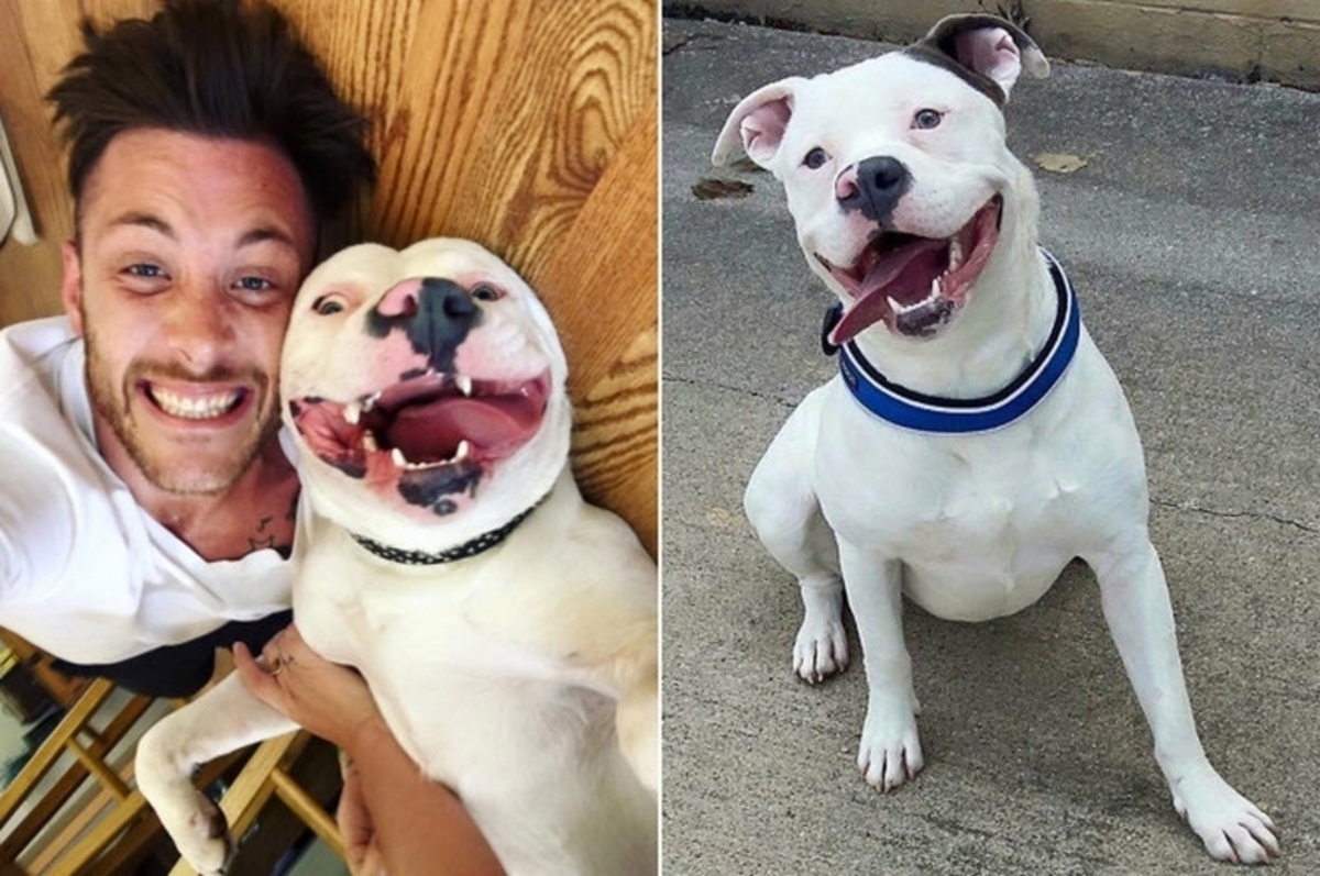 Η φωτογραφία έγινε viral και το σκυλάκι του κινδυνεύει με ευθανασία