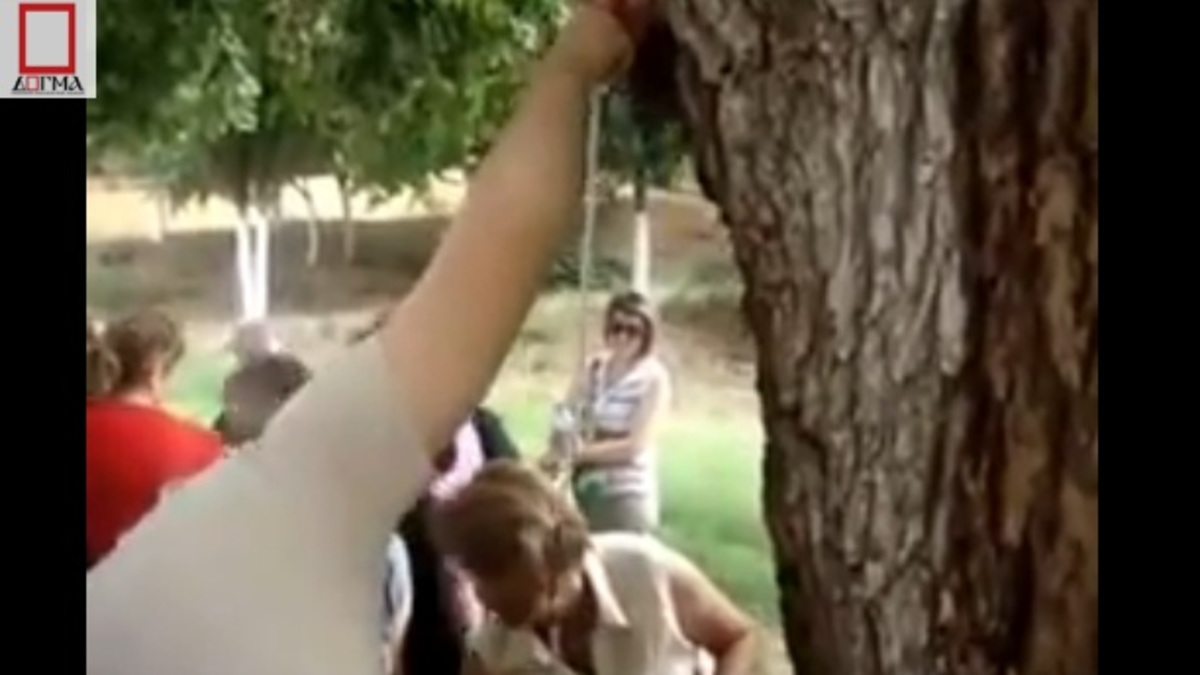 Ασύλληπτο! ΒΙΝΤΕΟ με δέντρα που αιμορραγούν!