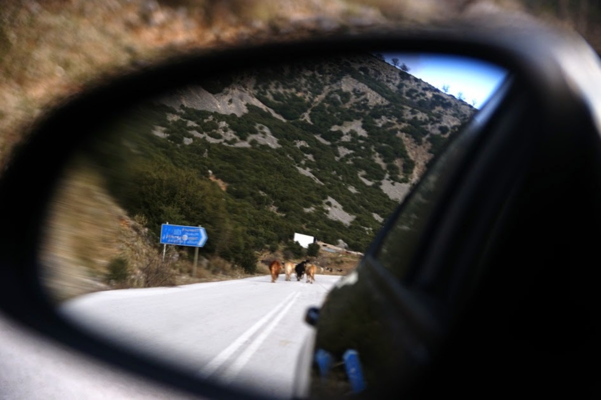 ΦΩΤΟ από το seleo.gr