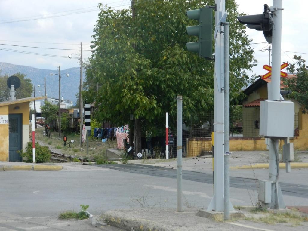 ΦΩΤΟ από kalimera-arkadia.gr