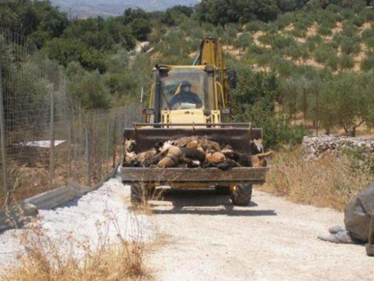 ΦΩΤΟ από το Flashnews