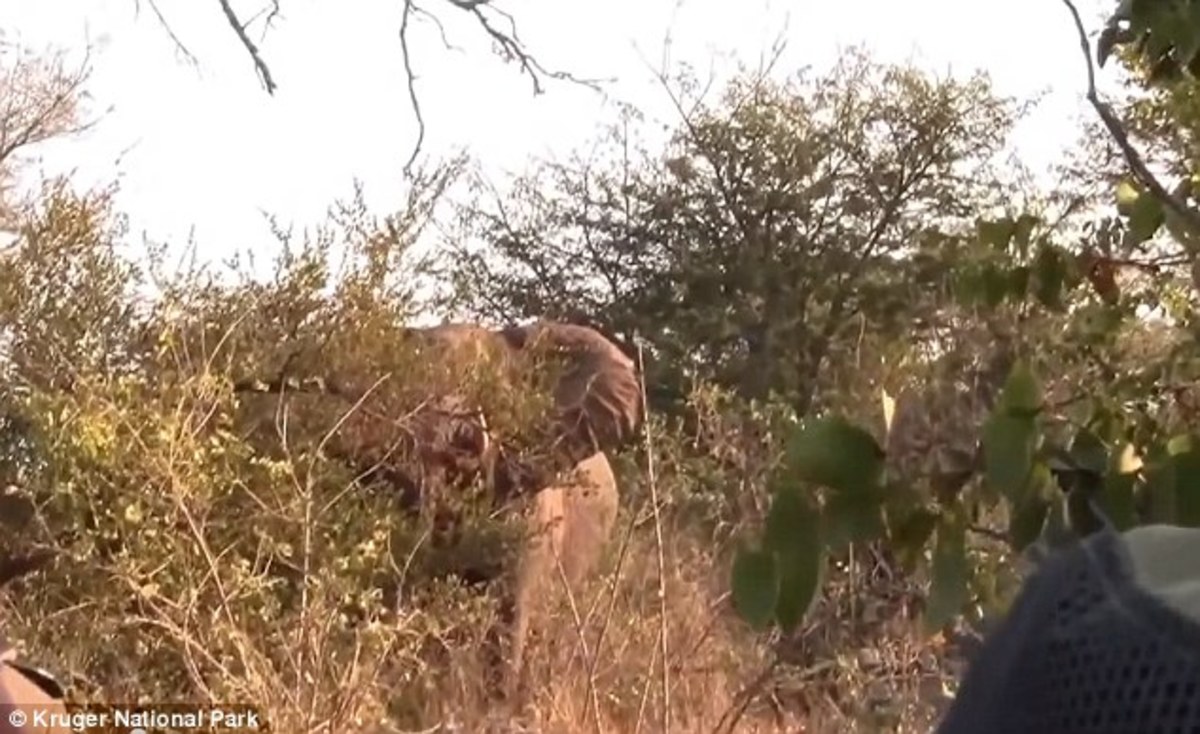 ΠΗΓΗ ΦΩΤΟ DAILY MAIL