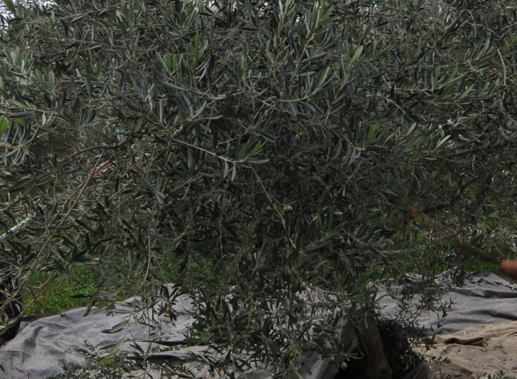 ΦΩΤΟ ΑΡΧΕΙΟΥ EUROKINISSI