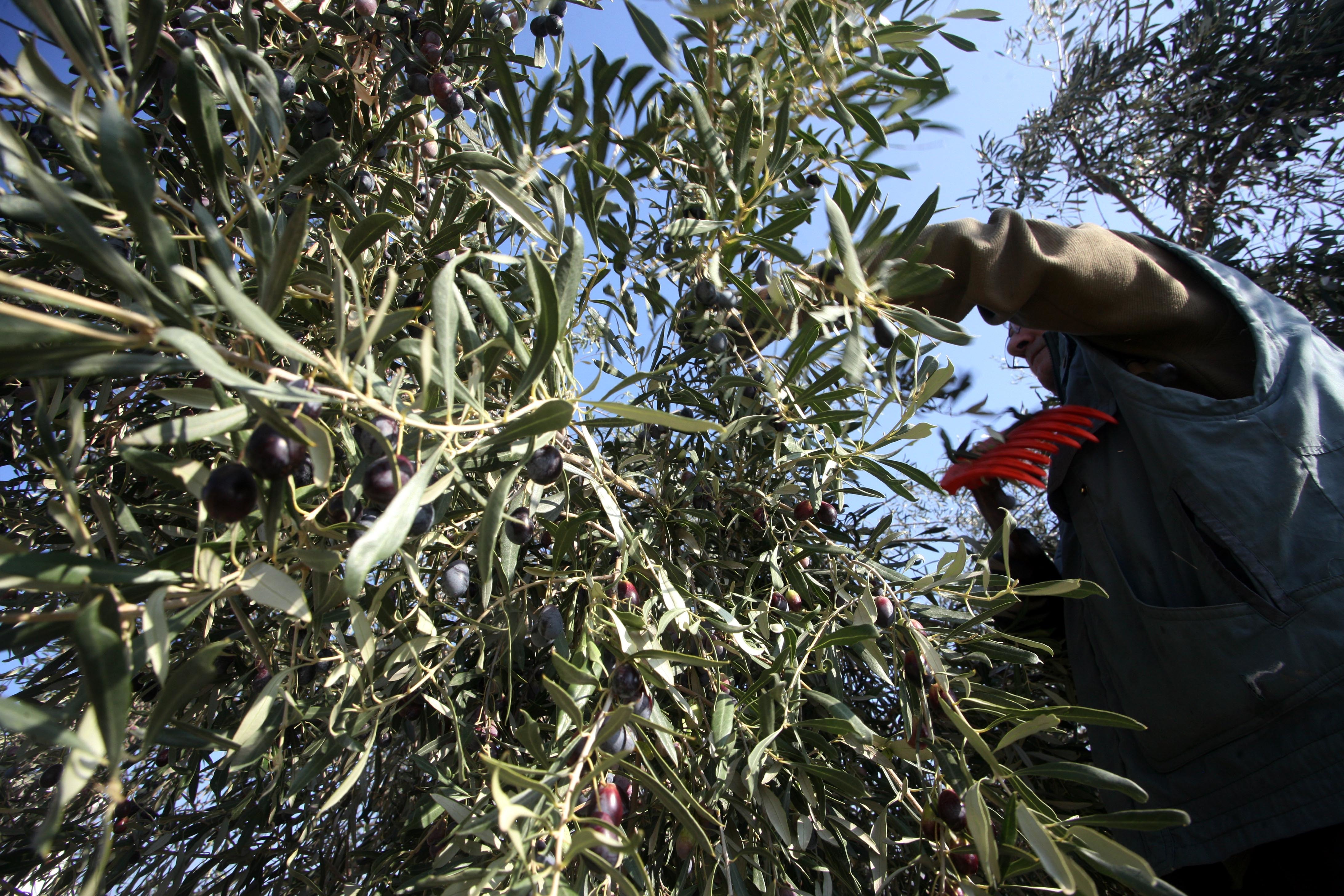 Κρήτη: Θρήνος από το θάνατο 51χρονου δικηγόρου