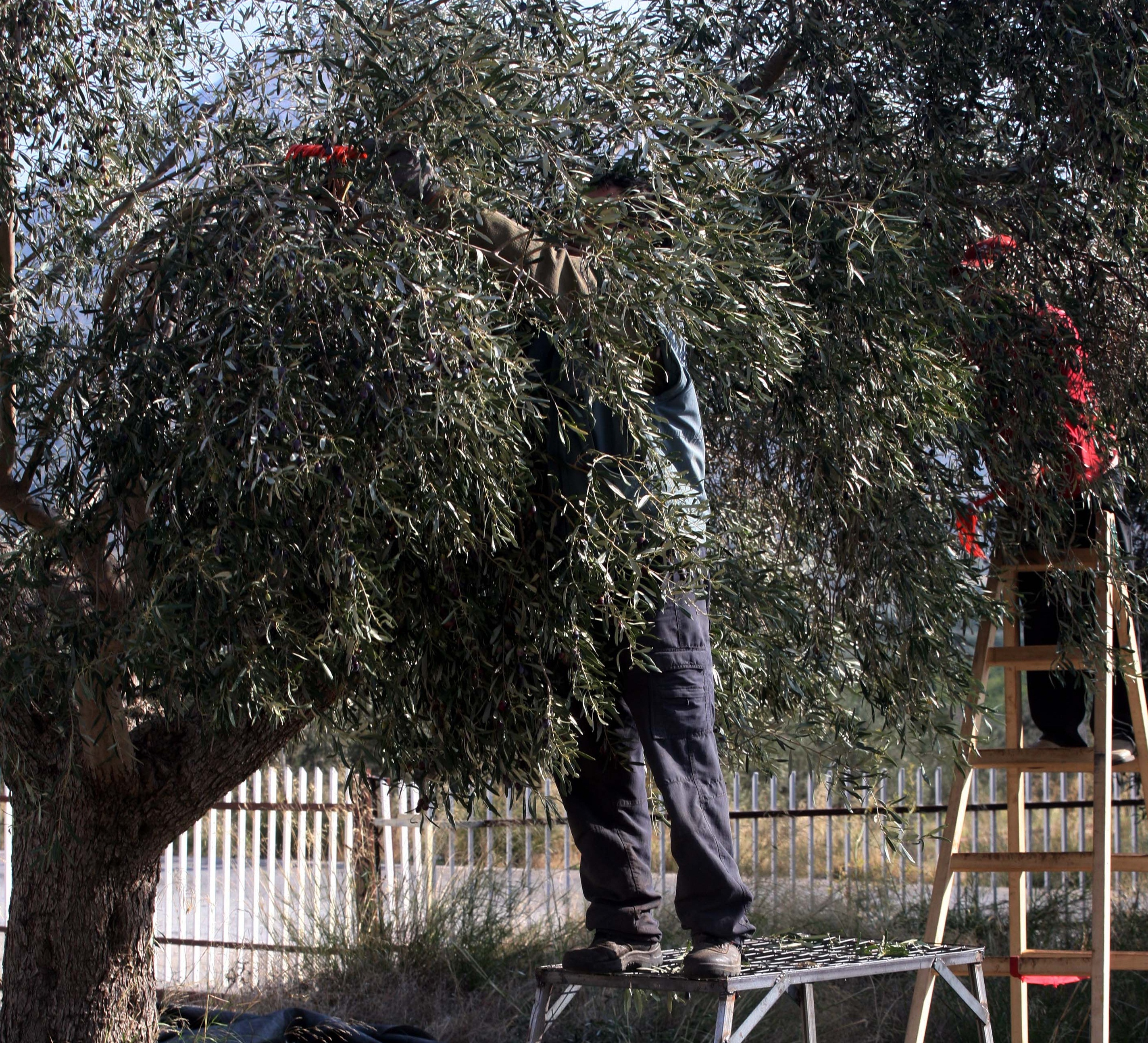 ΦΩΤΟ ΑΡΧΕΙΟΥ EUROKINISSI
